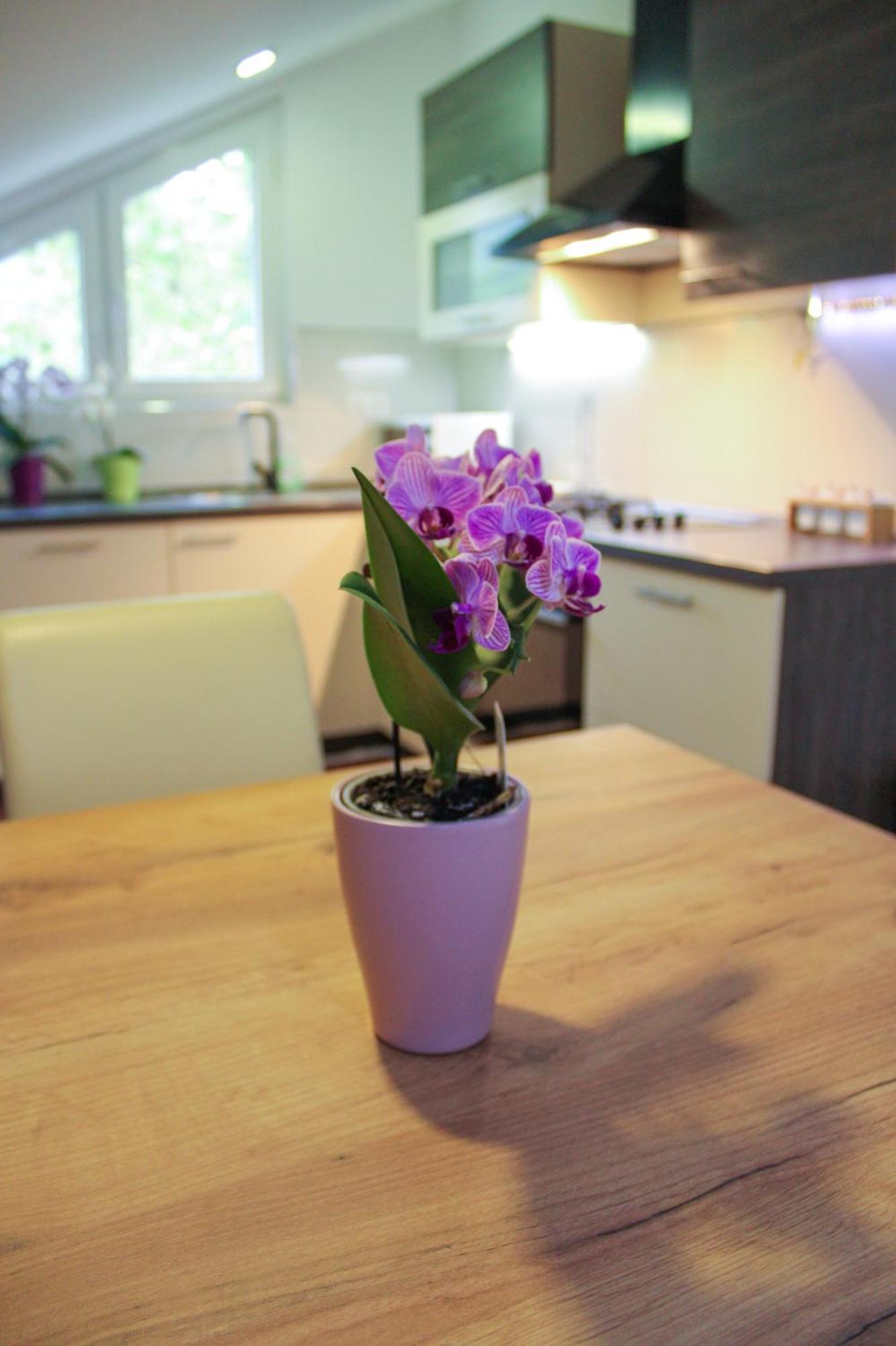 Apartman Nadja&Dani Kulen Vakuf Buitenkant foto