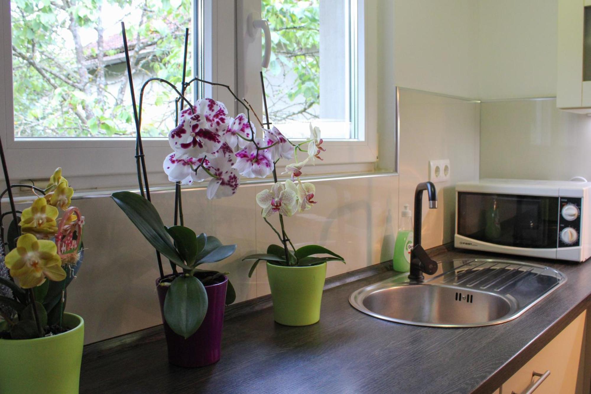 Apartman Nadja&Dani Kulen Vakuf Buitenkant foto