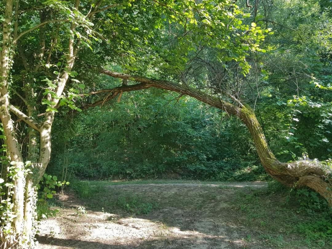 Apartman Nadja&Dani Kulen Vakuf Buitenkant foto